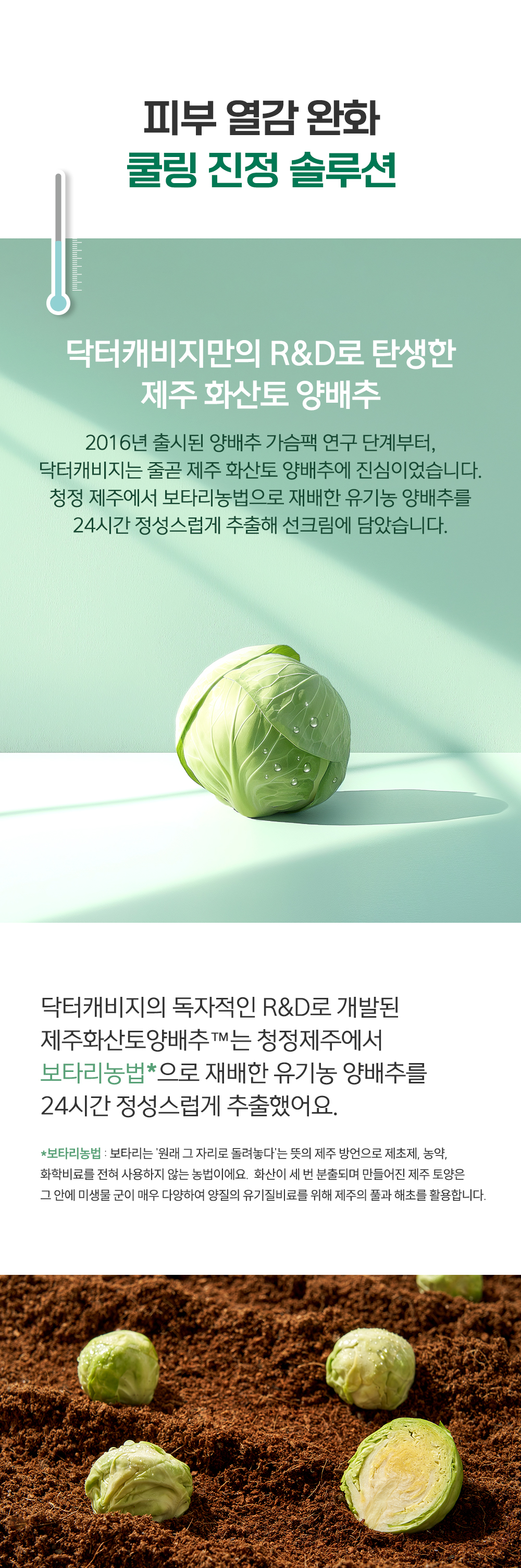 닥터캐비지 제주 양배추 선크림 상세페이지