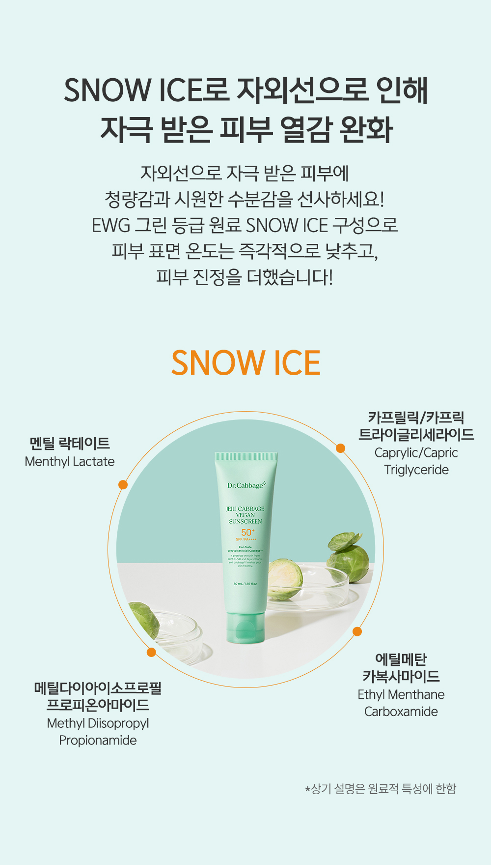 닥터캐비지 제주 양배추 선크림 상세페이지