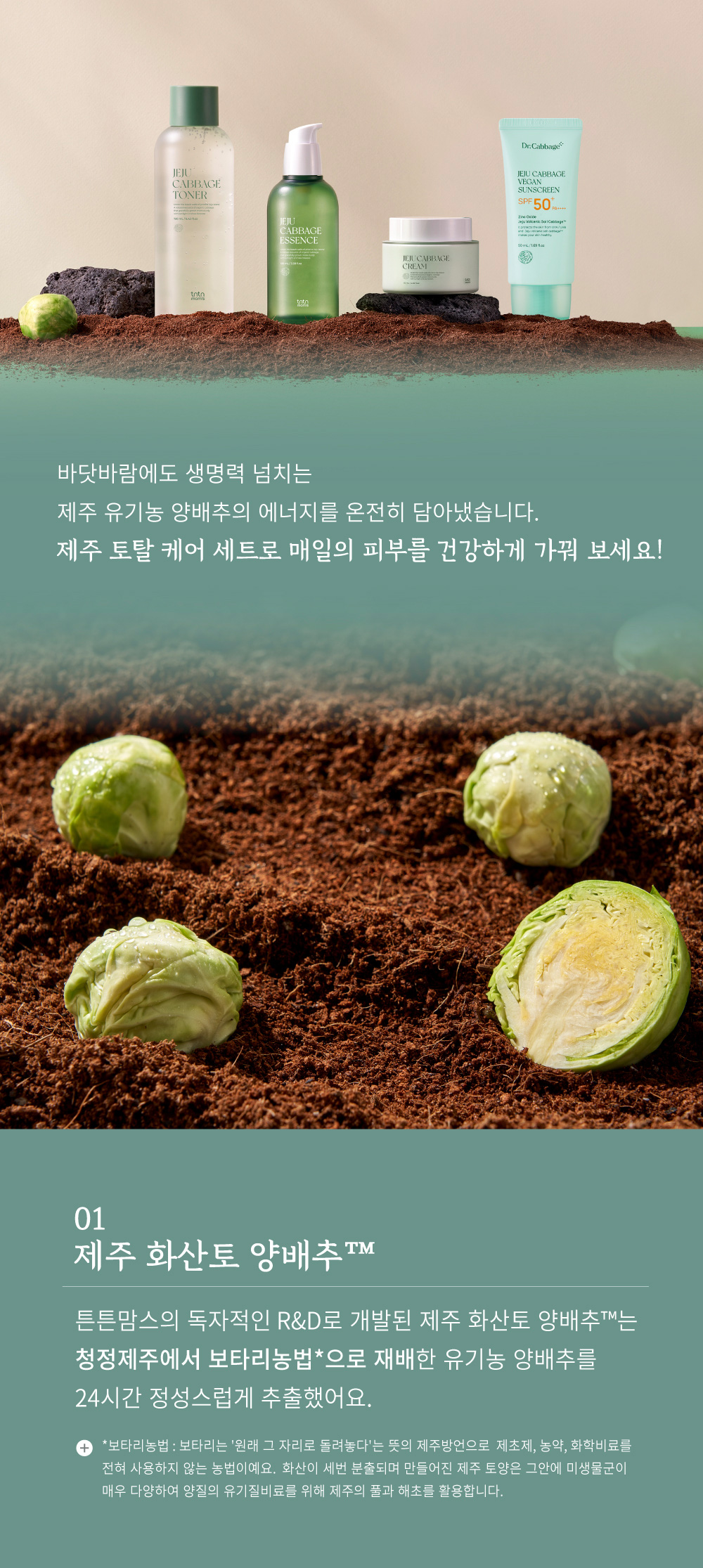 튼튼맘스 제주 양배추 토탈 케어 4종 세트 상세페이지
