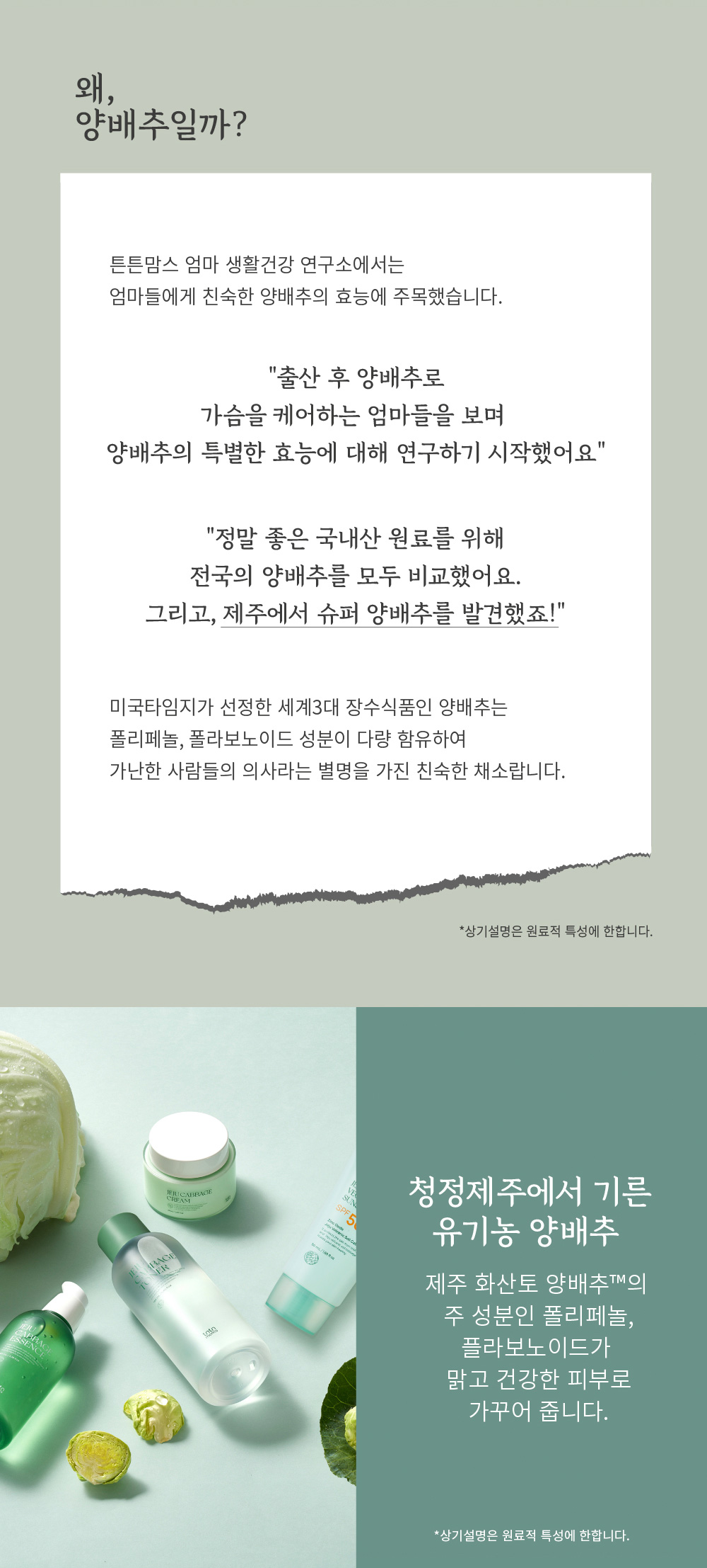 튼튼맘스 제주 양배추 토탈 케어 4종 세트 상세페이지