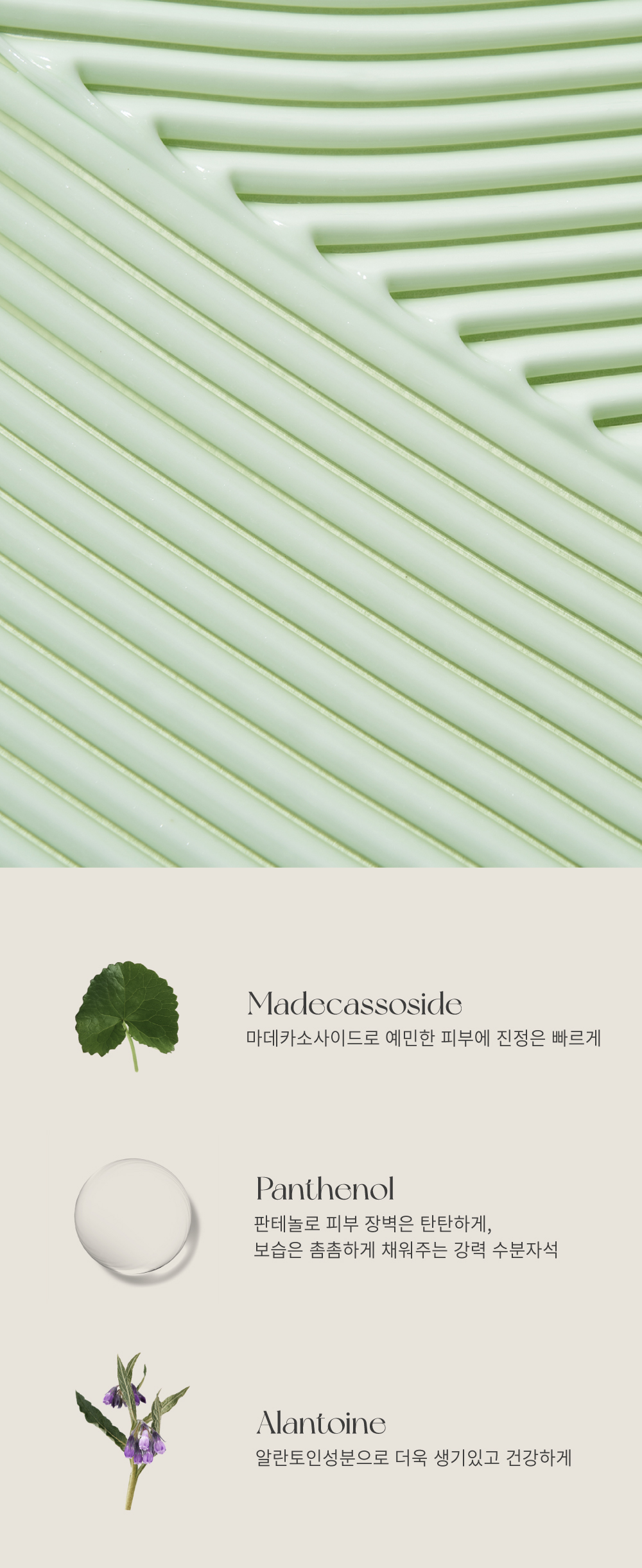 튼튼맘스 제주 양배추 토탈 케어 4종 세트 상세페이지